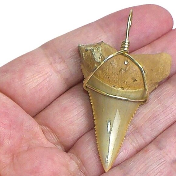 Fossilized Shark Tooth Pendant Wrapped In Silver Wire Unique Vintage Jewelry - Picture 2 of 5